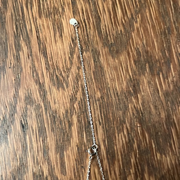 NWT Francesca’s Signature Silver Necklace with Iridescent Stone - Picture 5 of 5